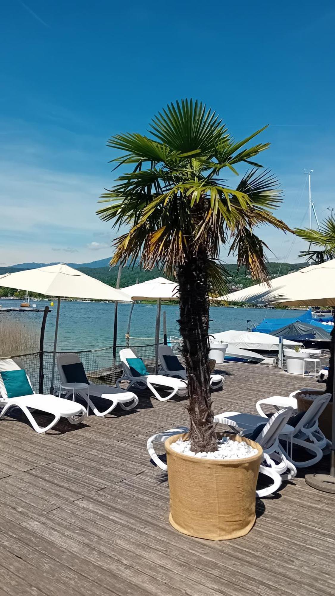Tennis & Yacht Hotel Velden Velden am Wörthersee Exteriör bild